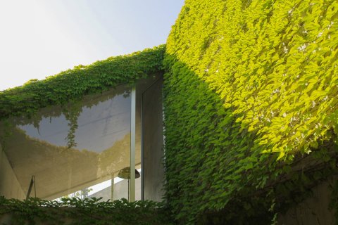 Villa pārdošanā Alicante, Spānijā 3 istabas, 451 m2 Nr. 155072 - attēls 18