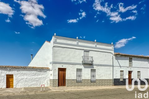 Villa for sale in Granja de Torrehermosa, Badajoz, Spain 3 bedrooms, 318 sq.m. No. 153285 - photo 2
