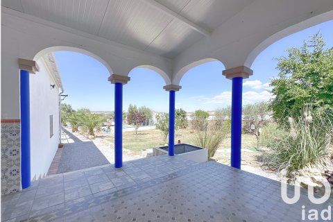 Villa for sale in Granja de Torrehermosa, Badajoz, Spain 3 bedrooms, 318 sq.m. No. 153285 - photo 19