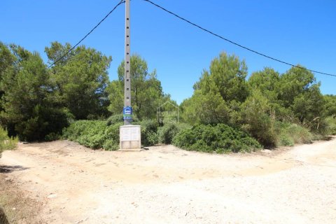 Land plot à vendre à Ciutadella De Menorca, Menorca, EspagneNo. 183231 - photo 3