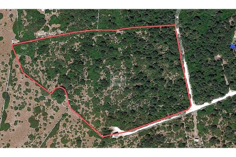 Land plot à vendre à Ciutadella De Menorca, Menorca, EspagneNo. 183231 - photo 4