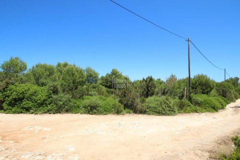 Land plot à vendre à Ciutadella De Menorca, Menorca, EspagneNo. 183231 - photo 2