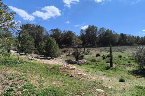 Finca en venta en Villena, Alicante, España 4 dormitorios, 588 m2 No. 160954 - foto 5