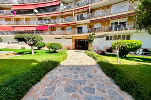 Appartamento in vendita a Torrevieja, Alicante, Spagna 3 camere da letto, 93 mq. N° 195985 - foto 2