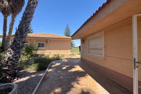 Finca myytävänä Dolores, Alicante, Espanja, 5 makuuhuonetta, 277 m2 No. 195981 - kuva 24