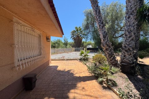 Finca myytävänä Dolores, Alicante, Espanja, 5 makuuhuonetta, 277 m2 No. 195981 - kuva 22
