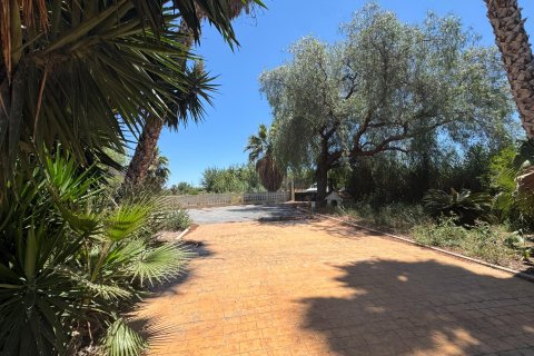 Finca myytävänä Dolores, Alicante, Espanja, 5 makuuhuonetta, 277 m2 No. 195981 - kuva 23