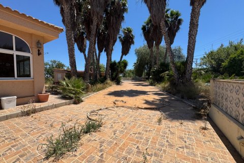 Finca myytävänä Dolores, Alicante, Espanja, 5 makuuhuonetta, 277 m2 No. 195981 - kuva 5