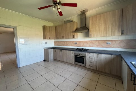 Finca myytävänä Dolores, Alicante, Espanja, 5 makuuhuonetta, 277 m2 No. 195981 - kuva 10