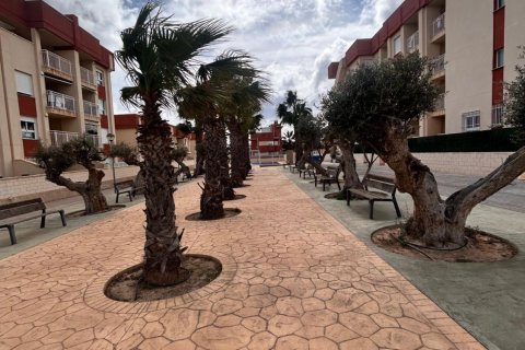 Apartment for sale Alicante, Spain 2 bedrooms, 71 sq.m. No. 136663 - photo 7