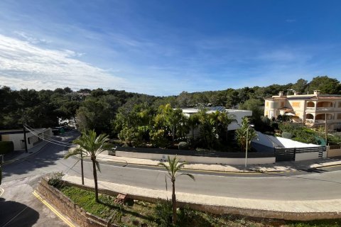 Wohnung zur Miete in Cala Vinyes, Mallorca, Spanien 2 Schlafzimmer, 85 m2 Nr. 143989 - Foto 21