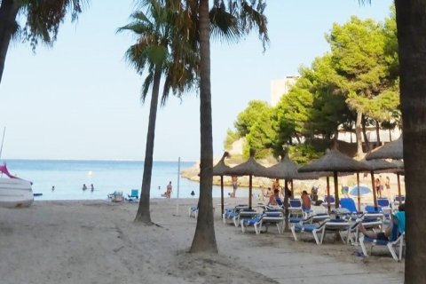 Appartamento in affitto a Cala Vinyes, Mallorca, Spagna 2 camere da letto, 85 mq. N° 143989 - foto 12