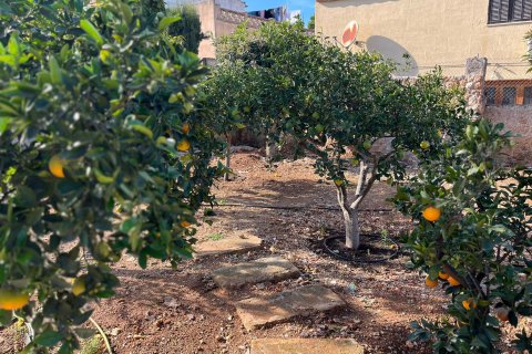 Villa in affitto a Ariany, Mallorca, Spagna 3 camere da letto, 130 mq. N° 143986 - foto 17