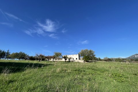 Działka w Moscari, Mallorca, Hiszpania 4 sypialnie, 21675 mkw. nr 143988 – zdjęcie 3