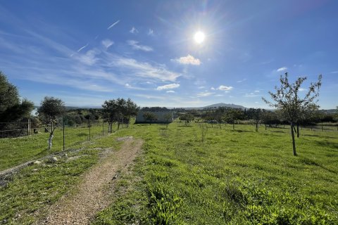 Działka w Moscari, Mallorca, Hiszpania 4 sypialnie, 21675 mkw. nr 143988 – zdjęcie 1