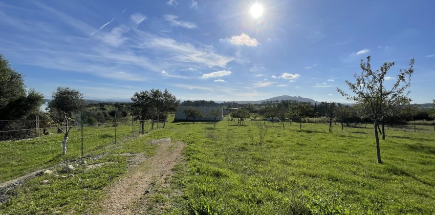 Działka w Moscari, Mallorca, Hiszpania 4 sypialnie, 21675 mkw. nr 143988