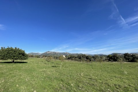 Działka w Moscari, Mallorca, Hiszpania 4 sypialnie, 21675 mkw. nr 143988 – zdjęcie 6