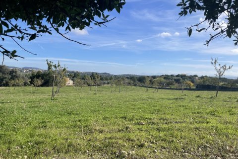 Działka w Moscari, Mallorca, Hiszpania 4 sypialnie, 21675 mkw. nr 143988 – zdjęcie 2