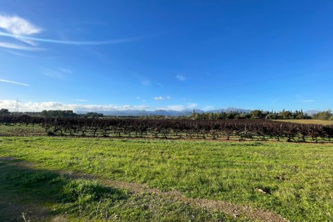 Finka w Sencelles, Mallorca, Hiszpania 4 sypialnie, 338 mkw. nr 143991 – zdjęcie 18