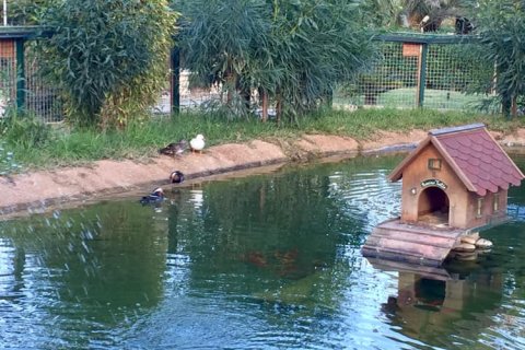 Villa en venta en Alicante, España 3 dormitorios, 120 m2 No. 144857 - foto 26