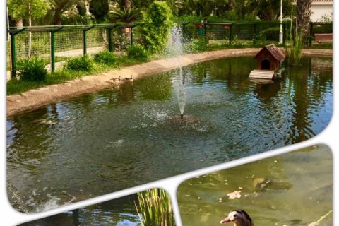 Villa en venta en Alicante, España 2 dormitorios, 66 m2 No. 144856 - foto 20