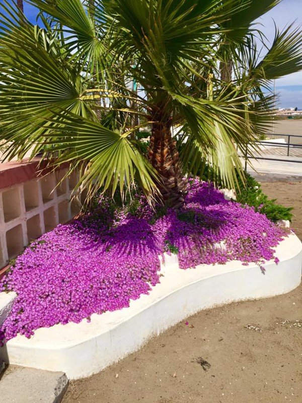 Villa i Alicante, Spanien 2 sovrum, 66 kvm. Nr. 144856