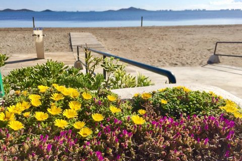 Villa en venta en Alicante, España 2 dormitorios, 66 m2 No. 144856 - foto 17