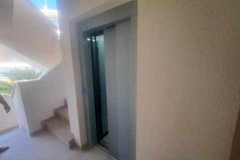 Apartment à vendre Alicante, Espagne, 2 chambres,  No. 139352 - photo 3