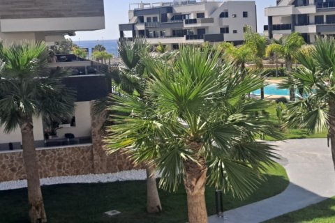 Apartment à vendre Alicante, Espagne, 2 chambres,  No. 139352 - photo 25