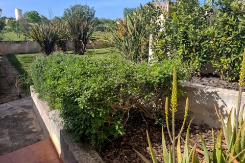 Lägenhet till salu i Porreres, Mallorca, Spanien 3 sovrum, 123 kvm. Nr. 172571 - foto 12