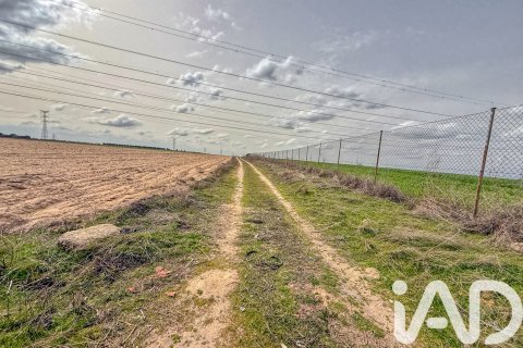 Продажа земельного участка в Вильявисьоса-де-Одон, Мадрид, Испания 181421м2 №172569 - фото 12