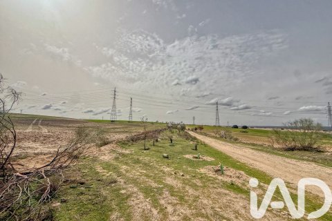 Продажа земельного участка в Вильявисьоса-де-Одон, Мадрид, Испания 181421м2 №172569 - фото 19
