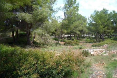 Działka Javea, Alicante, Hiszpania nr 80549 – zdjęcie 3