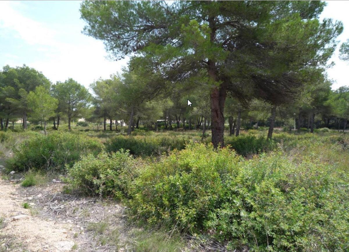 Tomt i Javea, Alicante, Spanien Nr. 80549
