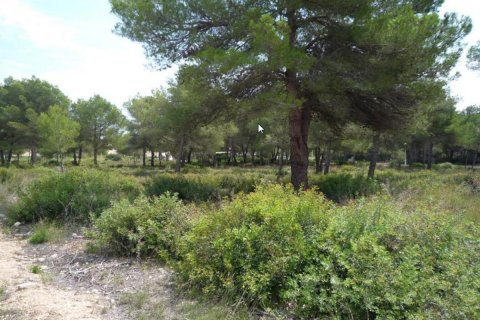 Działka Javea, Alicante, Hiszpania nr 80549 – zdjęcie 4