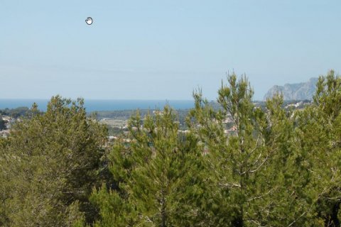 Land plot for sale Benitachell, Alicante, Spain No. 80544 - photo 2