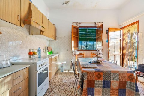 Finca en venta en Raiguero de Bonanza, Alicante, España 4 dormitorios, 267 m2 No. 141470 - foto 9