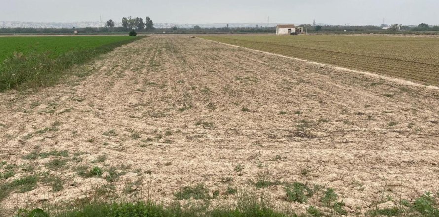 Land plot à Guardamar del Segura, Alicante, Espagne No. 183901