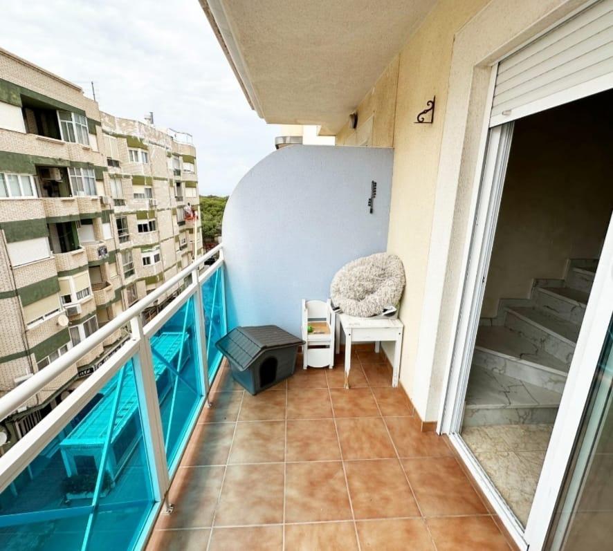 Penthouse à Guardamar del Segura, Alicante, Espagne 3 chambres, 85 m2 No. 183902