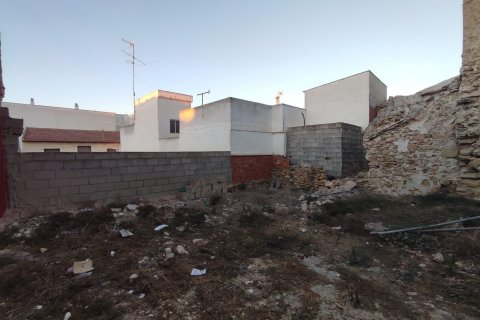 Продажа земельного участка в Рохалес, Аликанте, Испания №183900 - фото 5