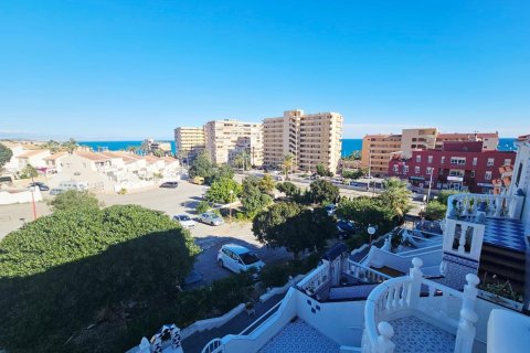 Paritalo Cabo Cervera-Playa la Mata, Alicante, Espanja 3 makuuhuonetta, 65 m2 No. 155504