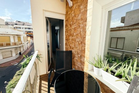 Liikekiinteistö myytävänä Torrevieja, Alicante, Espanja, 12 makuuhuonetta, 347 m2 No. 189000 - kuva 24