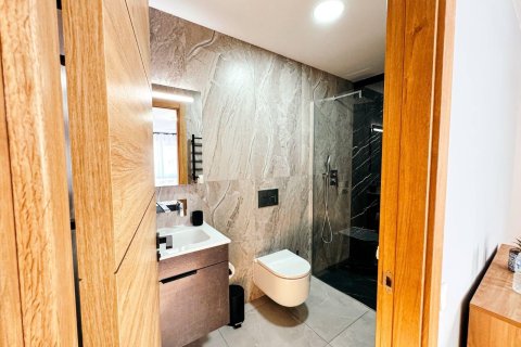 Liikekiinteistö myytävänä Torrevieja, Alicante, Espanja, 12 makuuhuonetta, 347 m2 No. 189000 - kuva 16
