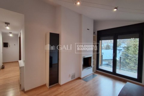 Appartamento a Principado De Andorra (Ninguna Poblacion Tiene C.P.), Lleida, Spagna 2 camere da letto, 65 mq. N° 179221