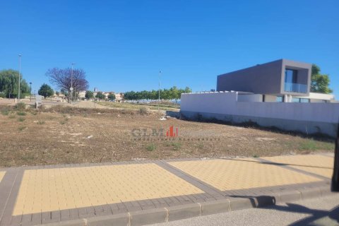 Apartment in Torre-Pacheco, Murcia, Spain No. 193438