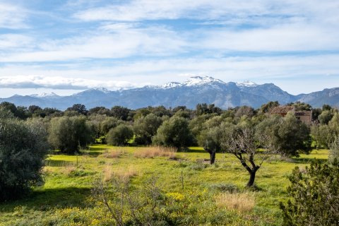 Finca en venta en Buger, Mallorca, España 4 dormitorios, 180 m2 No. 155751 - foto 25