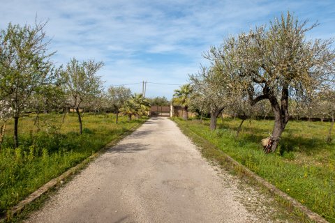 Finca en venta en Buger, Mallorca, España 4 dormitorios, 180 m2 No. 155751 - foto 27