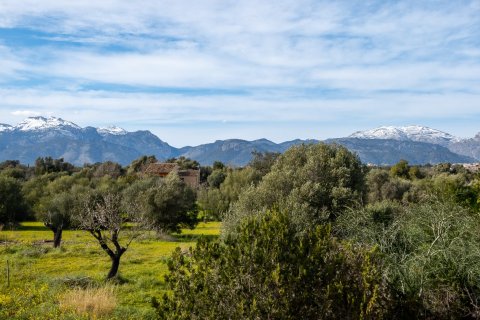 Finca en venta en Buger, Mallorca, España 4 dormitorios, 180 m2 No. 155751 - foto 26