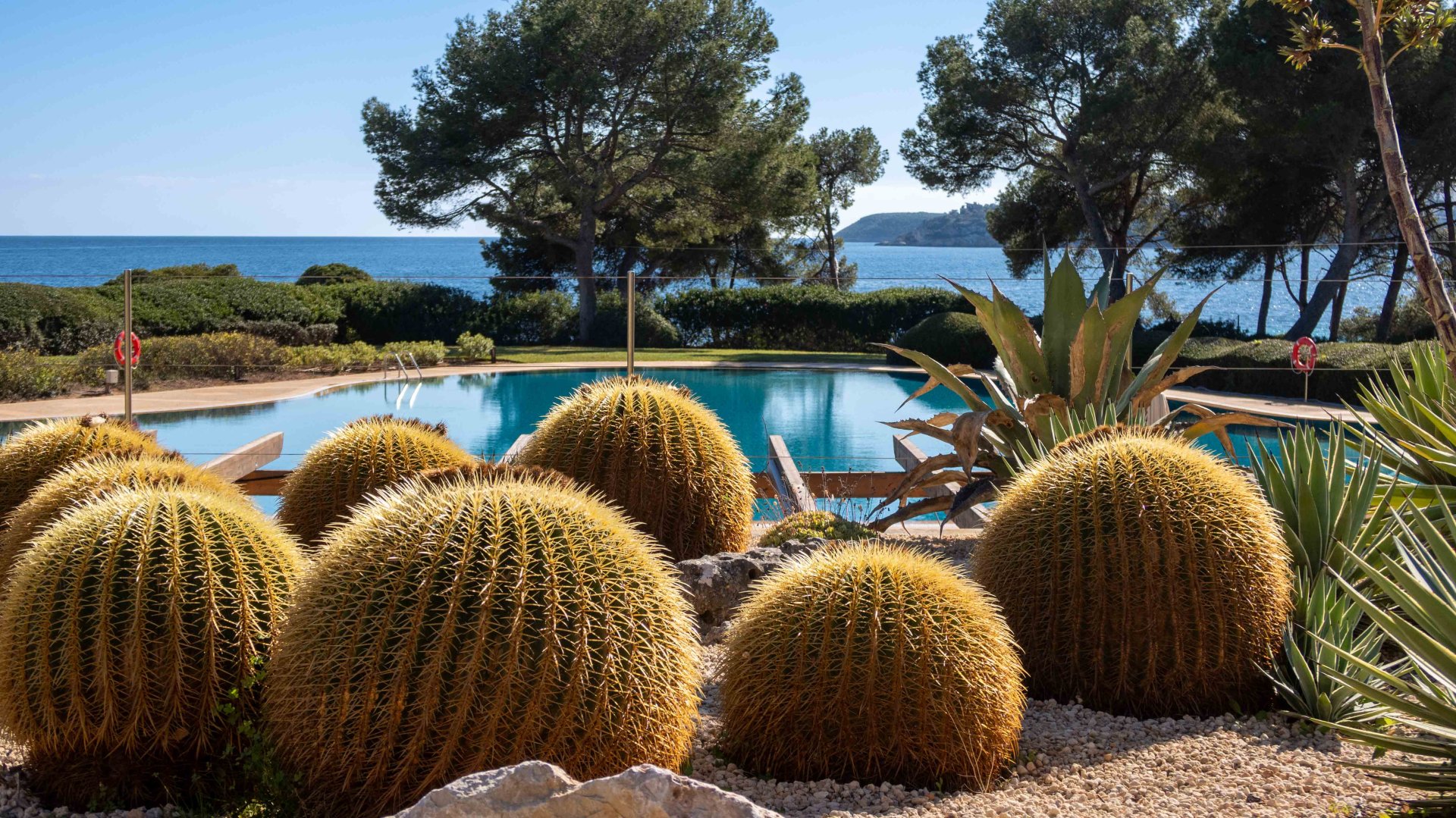 Wohnung in Portals Nous, Mallorca, Spanien 1 Schlafzimmer, 151 m2 Nr. 155754