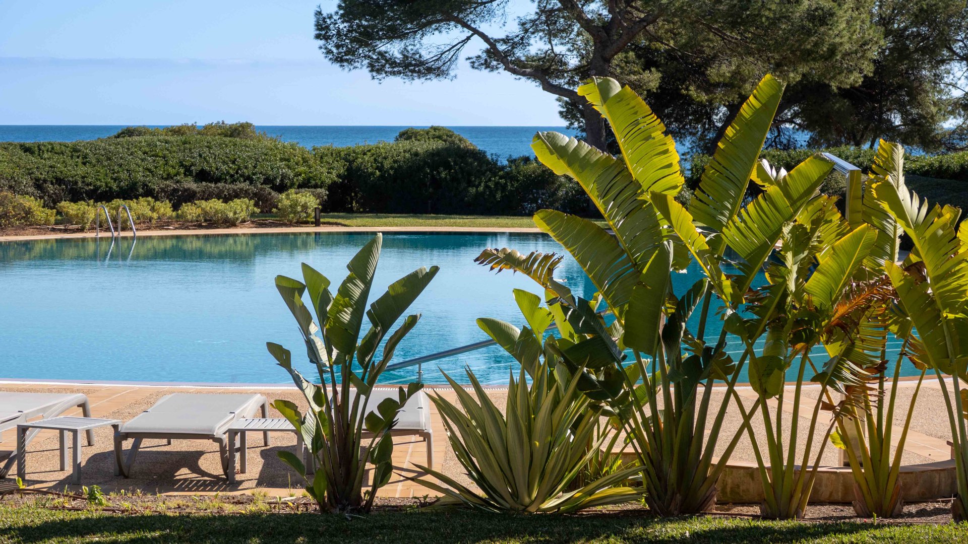 Wohnung in Portals Nous, Mallorca, Spanien 1 Schlafzimmer, 151 m2 Nr. 155754